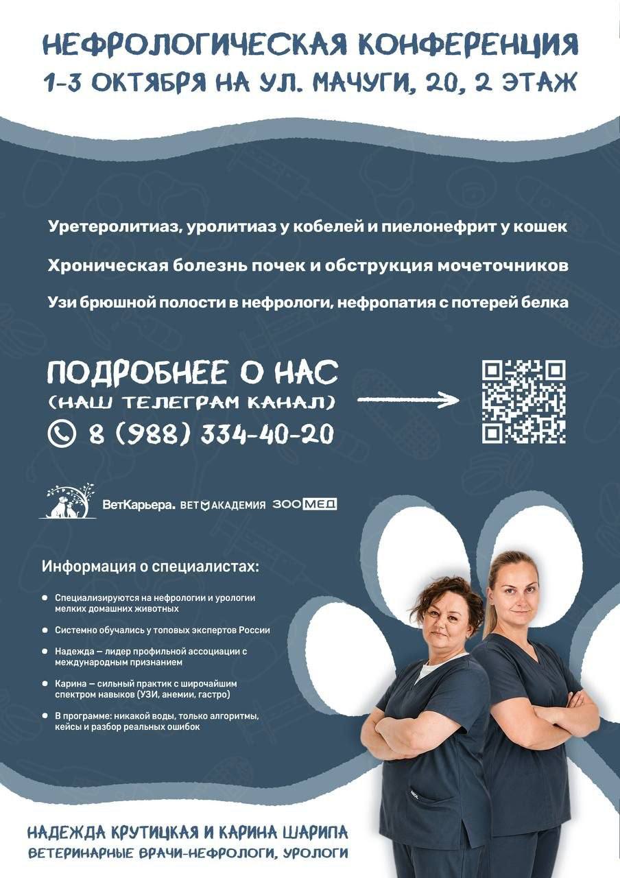 Нефрологическая конференция — Крутицкая и Шарипа